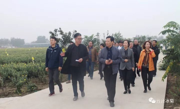 云臺冰菊基地發(fā)生了什么？一批批領導專家團隊前來！