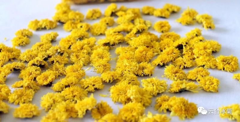 2018，種下希望，靜待花開！